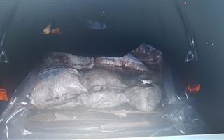 Более тонны воблы наловили незаконным способом уральские рыбаки