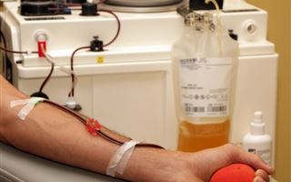 Как будут брать иммунную плазму у "коронавирусных" доноров