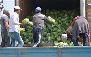 Гуманитарный фонд Дегдар оказал помощь фермерам Туркестанской области