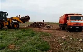 Аким Нур-Султана указал на несанкционированные места для мусора