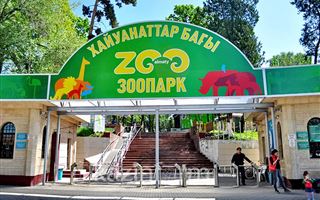 Открытие зоопарка в Алматы решили отложить 