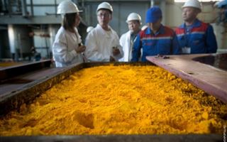Казахстан рискует потерять крупнейшую в мире компанию по добыче урана: что пишут о нас иноСМИ