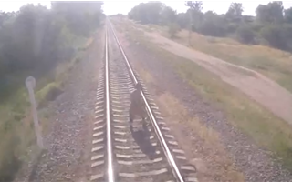 Поезд едва не сбил женщину в Кыргызстане