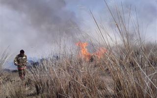 В РК за сутки произошло девять природных пожаров