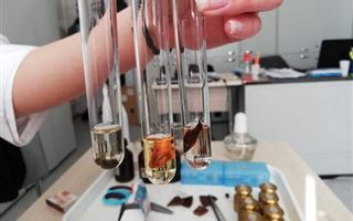 Казахстанские школьницы создали уникальный биоматериал