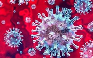 Беднейшие страны мира оказались на грани краха из-за пандемии коронавируса