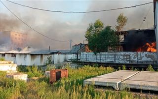 В Северо-Казахстанской области произошел крупный пожар на зерновых складах