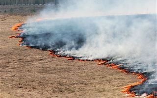 В Карагандинской области вторые сутки тушат степной пожар