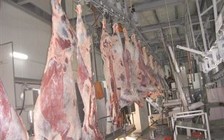 А хвост и ныне там: 10 лет проект "мраморное мясо на экспорт" приводит к скандалам