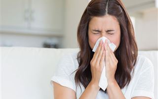 Д. Баешева: Клинические признаки сезонной аллергии кардинально отличаются от признаков КВИ