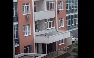 Девушка выпала с 15-го этажа в Алматы