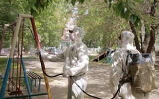 Кто выигрывает и проигрывает в войне с коронавирусом в Казахстане