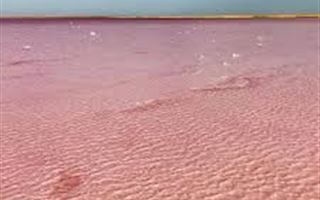 "Розовое озеро" закрыли для посещения в выходные в Акмолинской области