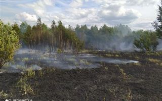 В Костанайской области третий день тушат лесной пожар