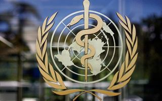 Минздрав предложил ВОЗ помочь медикам в казахстанских регионах
