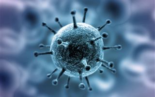 В США ожидают рост числа смертей от коронавируса