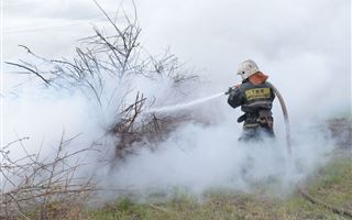 Четыре лесных пожара пытаются потушить казахстанские спасатели