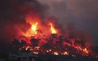 Большой лесной пожар тушат в Греции