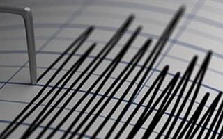 Сейсмологи зафиксировали землетрясение близ Алматы