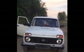 Подросток за рулем авто без переднего номера попал на видео в Алматинской области