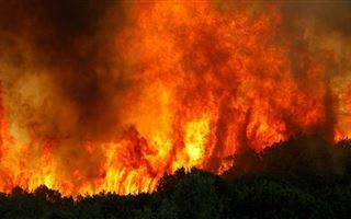 В Сибири снова начались лесные пожары