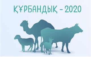 "Жертвенное мясо доставлено 30715 семьям" - ДУМК
