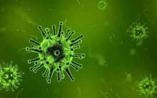 В Казахстане планируют провести перерасчет показателей по коронавирусу 