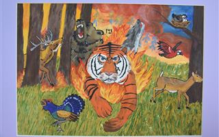 В Казахстане завершился республиканский конкурс детских рисунков «Животные – мои друзья»