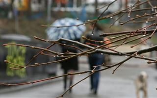 Похолодание прогнозируют казахстанские синоптики в ближайшие дни