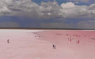 Опасные вещества нашли в розовом озере Кобейтуз