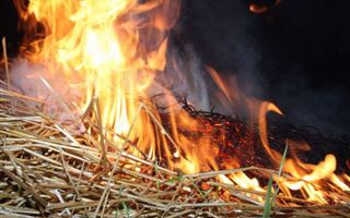 В Павлодарской области сгорело 120 тонн сена