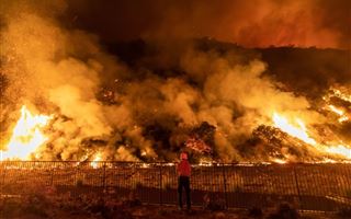 В Калифорнии природные пожары уже охватили 809 тыс. гектар