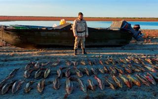 Браконьеров с 245 кг рыбы осетровых пород задержали в Атырауской области