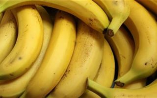 В мире бананы могут стать дефицитом