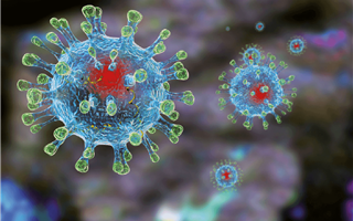 Ещё у 94 человек обнаружили коронавирусную инфекцию