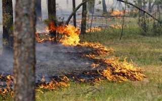 В РК вдвое увеличилось число лесостепных пожаров