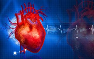 Названы способы снизить риск смерти от сердечно-сосудистых заболеваний