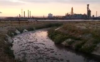В Атырау зафиксировали сброс нефтепродуктов в воду