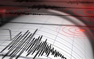 Землетрясение в 2-3 балла ощутили жители Шымкента