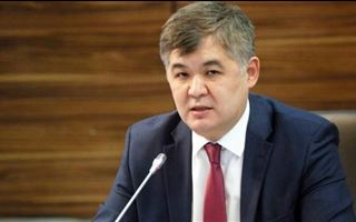 Адвокат Биртанова передал казахстанцам слова бывшего министра здравоохранения