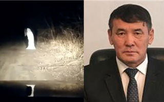 В Западном Казахстане приносят в жертву скот из-за призрака