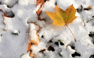 16 ноября в Казахстане ожидается снег, метель и туман