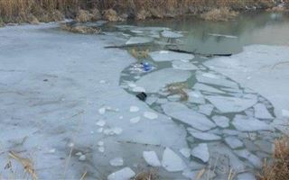 Двое детей провалились под лёд в Жамбылской области 