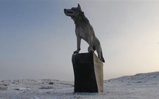 В Карагандинской области установили 9-метровую скульптуру волка