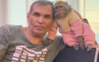 Бари Алибасов решил оставить наследство обезьяне Маше