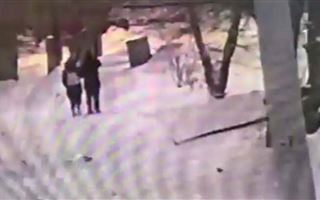 Ограбление девушки в Павлодаре попало на видео 