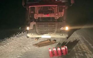В СКО на трассе застрял грузовик с цветами из Литвы