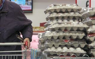 На 85 процентов сократилось производство куриных яиц в Мангистауской области 