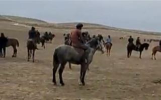 В Туркестанской области мужчина устроил кокпар на 100 человек