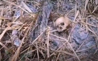 Жителей Тараза не смутили человеческие кости, найденные возле реки